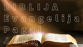 EVANGELIJA PAGAL JONĄ BIBLIJA [upl. by Vance]