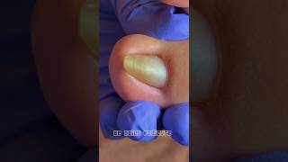 Cute nails satisfying pedicure nails satisfying pedicure [upl. by Gnol]