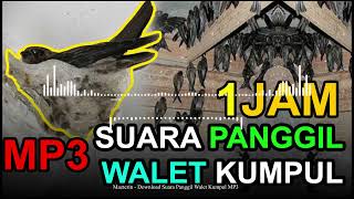 1JAM Download Suara Panggil Walet Kumpul MP3 Gratis [upl. by Aramoiz]