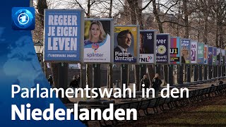 Wahl in den Niederlanden Neue Regierung nach Rutte [upl. by Olra174]