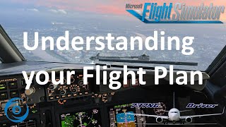 Understanding your Flight Plan  Real 737 Pilot explains [upl. by Adliwa]