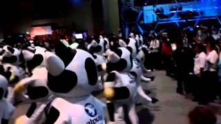 Las vacas de Alpura en Campus Party MX4 [upl. by O'Gowan793]