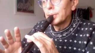 music lesson 11 first steps with a descant recorder [upl. by Euqirne]