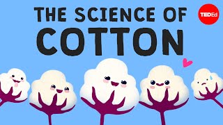 Why is cotton in everything  Michael R Stiff [upl. by Crim]