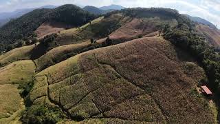 Drone footage from a coffee shop in northern Thailand [upl. by Brace]