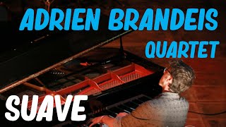 Adrien Brandeis Quartet  Suave Altitude Jazz Festival [upl. by Diannne408]