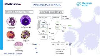 Inmunidad Innata 2  Inmunologia 5 Traiding medic [upl. by Laenej]