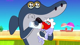 हिंदी Zig amp Sharko ✨ NEW SEASON 3 👶 नया शिशु Hindi Cartoons for Kids [upl. by Graehme]