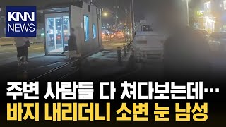 버스정류장 옆 남의 차량 뒤 쭈뼛쭈뼛 다가오더니 KNN [upl. by Hazem]