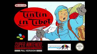 Tintin in Tibet  Snowy Falls Into the Stream SNES OST [upl. by Eneiluj640]