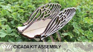 Cicada Kit Assembly Instructions [upl. by Eigriv]