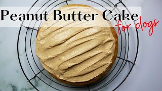 Easy Peanut Butter Dog Cake Recipe 🥜🍰🐶  WHISKOPETS KITCHEN 😄  HOMEMADE DOG FOOD amp TREATS [upl. by Oleg496]