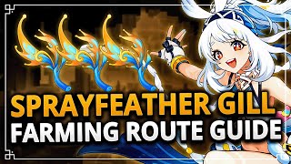 Sprayfeather Gill 66 Locations Farming Route Guide  Genshin Impact 50 [upl. by Erdnaxela934]