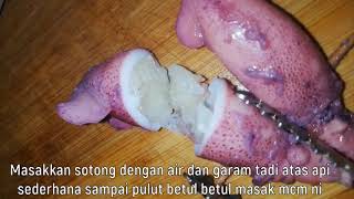 KETUPAT SOTONG KELANTAN LEMAK BERKRIM [upl. by Chemarin]