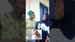 DAMO SARKIN HAKURI BABA 😂 By daudakahuturarara urcristiano comedy arewamovies labarina funny [upl. by Nicolas]