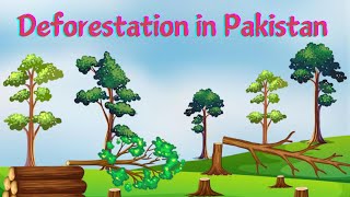 Deforestation in Pakistan [upl. by Hedwig]