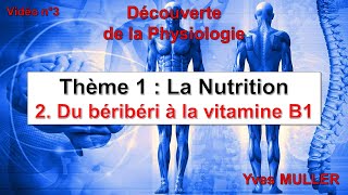 Vidéo 3  Du béribéri à la vitamine B1 [upl. by Ettenot]