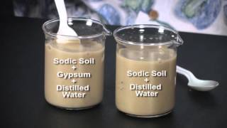 Visualizing Soil Properties Dispersion and Flocculation [upl. by Ad]