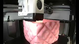 Tissues box 3d print [upl. by Varin]