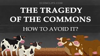 🐄 The Tragedy of the Commons  How to Avoid It [upl. by Akierdna]