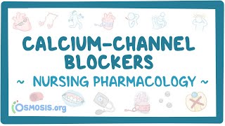 Calciumchannel blockers Nursing Pharmacology [upl. by Notsud]