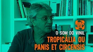 Tropicália ou Panis Et Circencis l O Som do Vinil Parte 1 [upl. by Beutner]