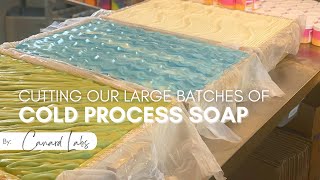 How We Cut Our Large Soap Batches [upl. by Itsirk447]