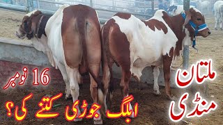 Multan Cow Mandi janwaro k Rates Zeyada or kmm  latest update on Saturday [upl. by Euqinehs8]