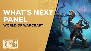 BlizzCon  The War Within Whats Next Panel  World of Warcraft [upl. by Nolad]