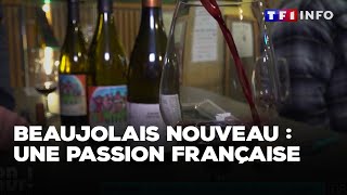 Beaujolais nouveau  une passion française｜TF1 INFO [upl. by Scurlock]