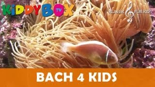 Mozart Bach Chopin  Klassik für Kinder  Versteckspiel KIDDYBOXTV [upl. by Lauer]