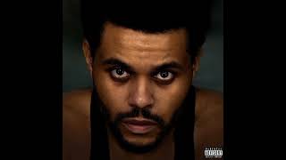 The Weeknd  Can You Audio [upl. by Bock]