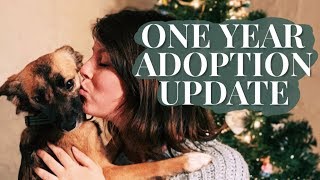 Adopting a Dog From PetSmart 1 Year UpdateHaving a Dog with Anxiety [upl. by Meehan]