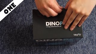 Unboxing amp Setting Up  DINOPET EP 1 [upl. by Armilda911]