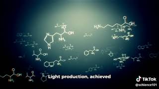 Evolution of Bioluminescence in Marine Organisms [upl. by Gazzo]