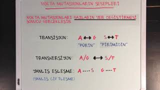 Genetik Mutasyonların Sebepleri Fen Bilimleri Biyoloji [upl. by Sebastiano]