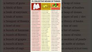 Collective Nouns and Their Use Explained  Examples english collectivenouns example shorts [upl. by Navnod522]