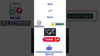 Nail pronounciation and means in Urdu and Hindikeel means in English h2sev [upl. by Najar306]