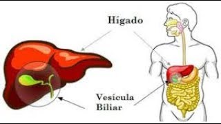 Dieta de la vesícula biliar alimentos para comer y alimentos para evitar [upl. by Ahsuatan516]