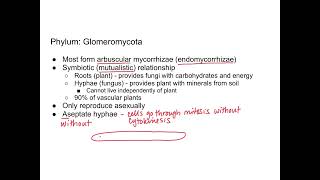 Fungi  Glomeromycota and Chytridiomycota [upl. by Conners]