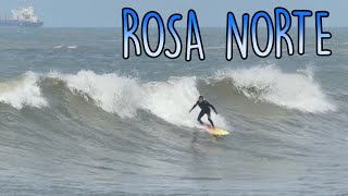 Whales and Surf Rosa Beach North Imbituba  14th August 2022 RAW [upl. by Naerol]