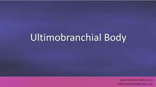 Pronunciation of the words quotUltimobranchial Bodyquot [upl. by Wager]