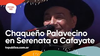 El Chaqueño Palavecino en Serenata a Cafayate  Festival País 2022 [upl. by Dionysus588]