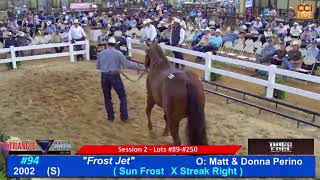 Triangle Horse Sales Oklahoma City OK Day 2 05 06 23 [upl. by Bern]