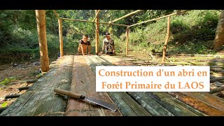 Comment construire un ABRI en JUNGLE au Laos P1 [upl. by Kat]