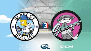 Blake St Bullies v Shenanigans  Div 3  26th November  IceHQ Rec League ice hockey [upl. by Koren180]