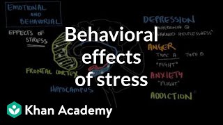 Behavioral effects of stress  Processing the Environment  MCAT  Khan Academy [upl. by Lakym]