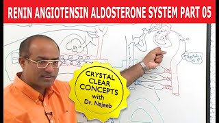 Renin Angiotensin Aldosterone System  RAAS Part 5👨‍⚕️ [upl. by Irac]