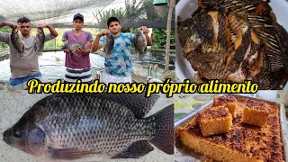 pescando em nossa criação de tilápias para o nosso consumo  um jantar bem nordestino [upl. by Breskin]