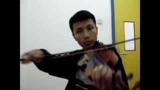 The Corrs  The Minstrel Boy Violin Cover [upl. by Jemmy]